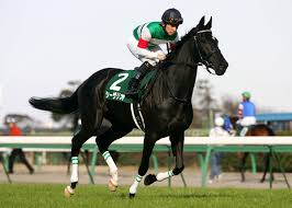 繁殖牝馬ランキング