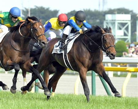 最近、古馬でG1勝てない弱いダービー馬がほぼいない件
