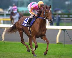 テイエムオペラオーが種牡馬として失敗したのが謎すぎる