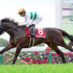 【京都新聞杯】5番人気ショウヘイが快勝でダービーへ!重賞初制覇