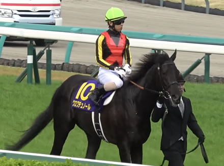 クロワデュノールのダービー単勝どんくらいになりそう？