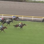 【エプソムカップ2025】結果・動画/セイウンハーデスが堂々抜け出す