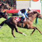 ボッケリーニ引退 イーストスタッドへ種牡馬入り
