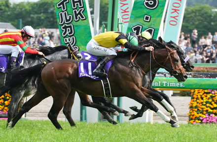 【NHKマイルC】大波乱!9番人気パンジャタワーが接戦制しG1初制覇!3連単150万5950円