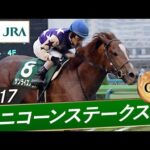 2017年 ユニコーンステークス(GⅢ) | サンライズノヴァ | JRA公式