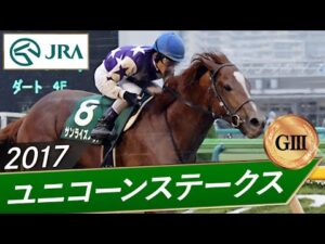 2017年 ユニコーンステークス（GⅢ） | サンライズノヴァ | JRA公式