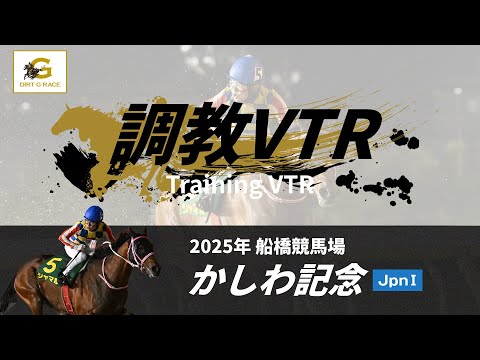 調教VTR|2025年 かしわ記念 JpnI|NAR公式