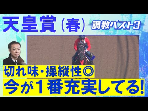 【先週は1位指名7番人気のカムニャックが1着!】ヘデントール、サンライズアース、ジャスティンパレス・・・競馬エイト・高橋賢司トラックマンの調教解説<天皇賞(春)GⅠ>