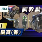 【調教動画】2025年 天皇賞(春)|JRA公式