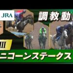 【調教動画】2025年 ユニコーンステークス|JRA公式