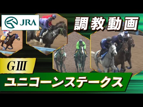 【調教動画】2025年 ユニコーンステークス|JRA公式
