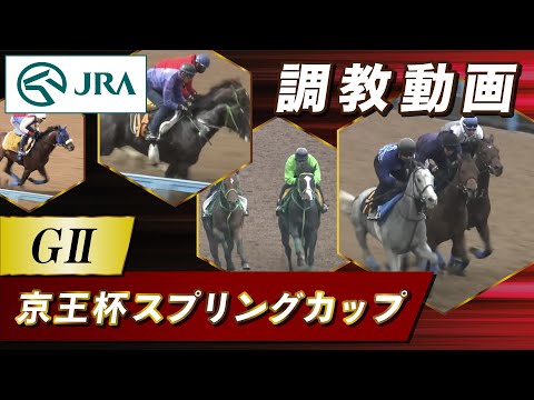 【調教動画】2025年 京王杯スプリングカップ|JRA公式