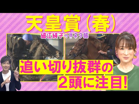 「頭で買いたい!」ヘデントール、サンライズアース、ジャスティンパレス・・・天皇賞(春)GⅠを元ジョッキーの細江純子さんが徹底解説!<細江純子のネタ帳>