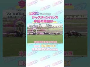 天皇賞（春）GⅠ　トレセン直撃取材！　＃競馬　#天皇賞（春）　#ジャスティンパレス　#鮫島克駿
