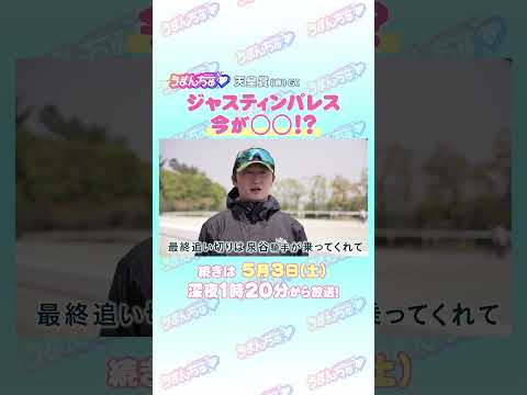 天皇賞（春）GⅠ　トレセン直撃取材！②　＃競馬　#天皇賞（春）　#ジャスティンパレス　#鮫島克駿