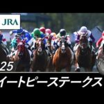 2025年 スイートピーステークス(L) | JRA公式