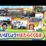 【みんなで覚えよう】けいばじょうではたらくくるま大集合!🚛 | JRA公式