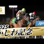 2025年 かしわ記念JpnI|第37回|NAR公式