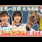 【うま活】しんしん&わかにゃん アーモンドアイに会ってきた!【名場面・GW特別配信(2024年5月取材)】