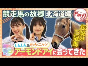 【うま活】しんしん&わかにゃん アーモンドアイに会ってきた!【名場面・GW特別配信(2024年5月取材)】