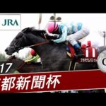 2017年 京都新聞杯(GⅡ) | プラチナムバレット | JRA公式