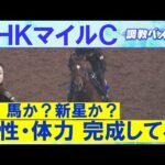 「能力があふれちゃってる」アドマイヤズーム、イミグラントソング、ランスオブカオス・・・競馬エイト・高橋賢司トラックマンの調教解説<NHKマイルカップ(GⅠ)>