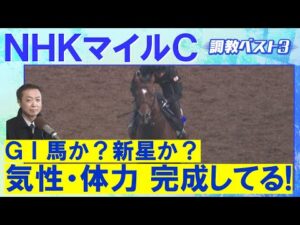 「能力があふれちゃってる」アドマイヤズーム、イミグラントソング、ランスオブカオス・・・競馬エイト・高橋賢司トラックマンの調教解説＜NHKマイルカップ(ＧⅠ)＞