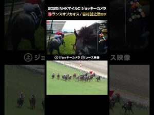 【ジョッキーカメラ×レース映像】2025年NHKマイルカップ ランスオブカオス 吉村誠之助騎手 #shorts ｜JRA公式