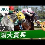 2017年 新潟大賞典(GⅢ) | サンデーウィザード | JRA公式