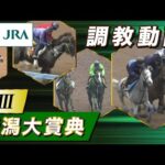 【調教動画】2025年 新潟大賞典|JRA公式