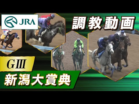 【調教動画】2025年 新潟大賞典|JRA公式