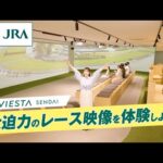 グッズ購入や競馬観戦を楽しもう VIESTA仙台(ヴィエスタ仙台) | JRA公式