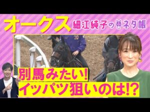 「桜花賞より確実に良くなってる！」エンブロイダリー、アルマヴェローチェ、リンクスティップ・・・オークス(ＧⅠ)を元ジョッキーの細江純子さんが解説！＜細江純子のネタ帳＞