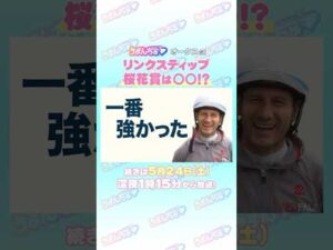 オークスGⅠ　トレセン直撃取材！②　＃競馬　#オークス　#リンクスティップ　#M.デムーロ