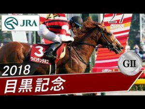 2018年 目黒記念(GⅡ) | ウインテンダネス | JRA公式