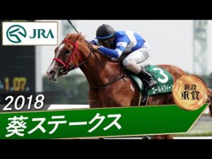 2018年 葵ステークス(新設重賞) | ゴールドクイーン | JRA公式
