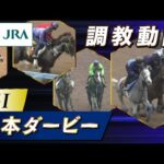 【調教動画】2025年 日本ダービー|JRA公式