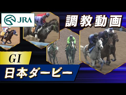 【調教動画】2025年 日本ダービー|JRA公式