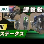 【調教動画】2025年 葵ステークス|JRA公式