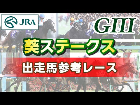 【参考レース】2025年 葵ステークス|JRA公式
