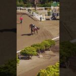 【競馬学校】競馬学校の生活を覗いてみよう!~実技訓練編~ | JRA公式 #shorts