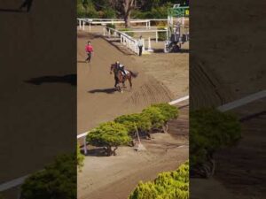 【競馬学校】競馬学校の生活を覗いてみよう！～実技訓練編～ | JRA公式 #shorts