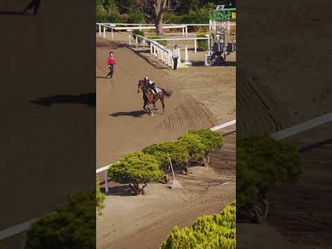 【競馬学校】競馬学校の生活を覗いてみよう!~実技訓練編~ | JRA公式 #shorts