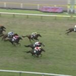 【競馬】新潟大賞典は古川吉騎乗のシリウスコルトがV 武豊騎乗のサブマリーナ2着