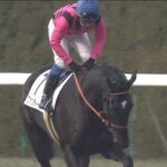 【競馬】ファンディーナはフラワーCでどんなレースをすると桜花賞で1番人気になるか?
