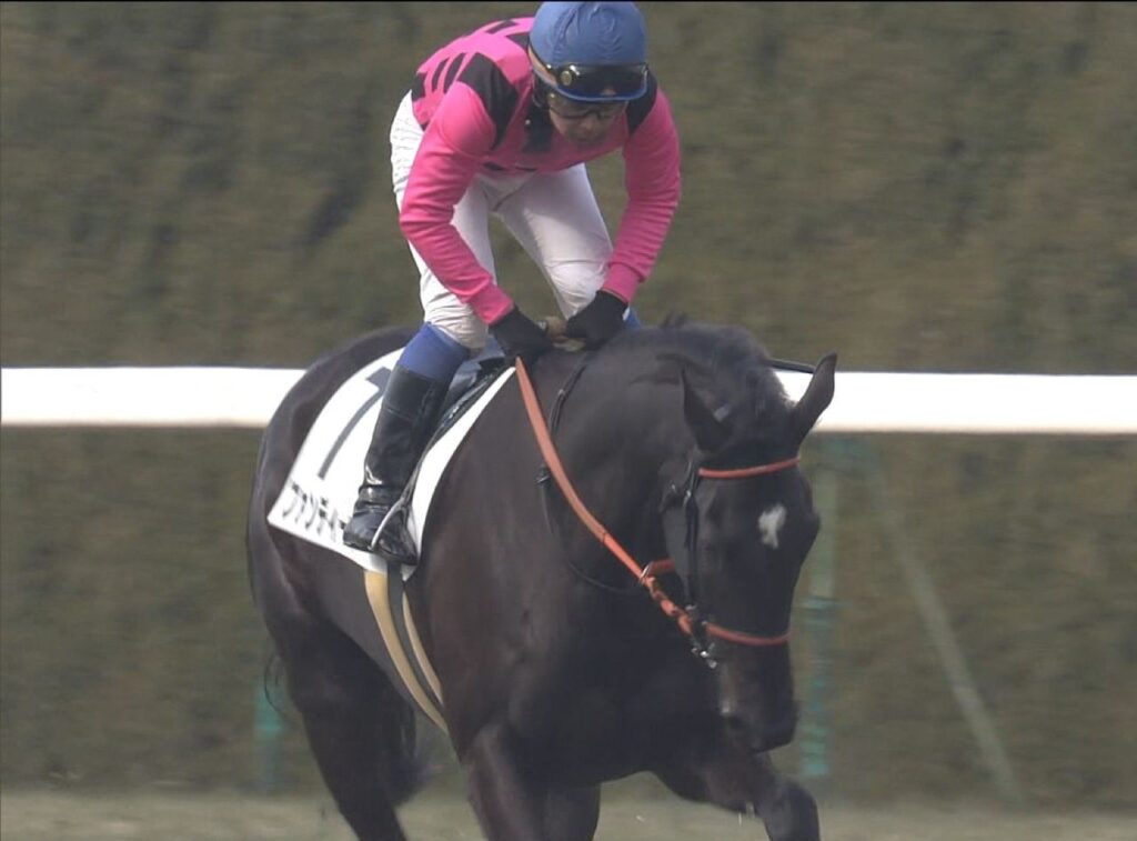 【競馬】ファンディーナはフラワーCでどんなレースをすると桜花賞で1番人気になるか?