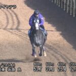 【目黒記念2025】追い切り/動きからレースを紐解く