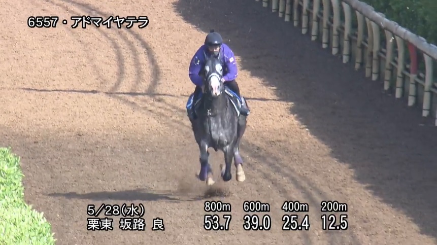 【目黒記念2025】追い切り/動きからレースを紐解く