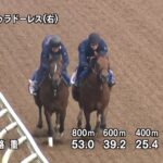 【エプソムカップ2025】追い切り/抜群の動きを見せたのは