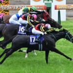 【ヴィクトリアM】1番人気アスコリピチェーノがゴール前接戦制しV!GI2勝目